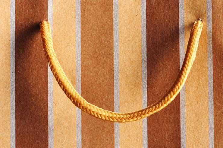 Bolsas se tornaram indispensáveis no dia a dia